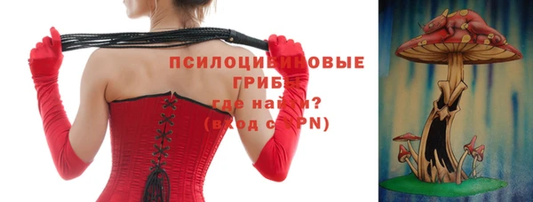соль курить ск Бородино