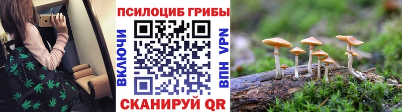 Купить  Сосногорск  Галлюциногенные грибы ЛСД 